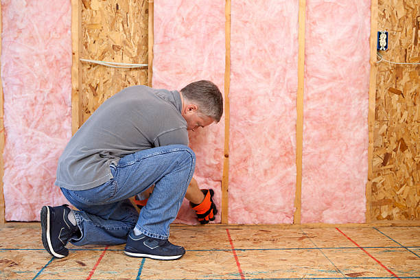 Professional Insulation in Shawneeland, VA